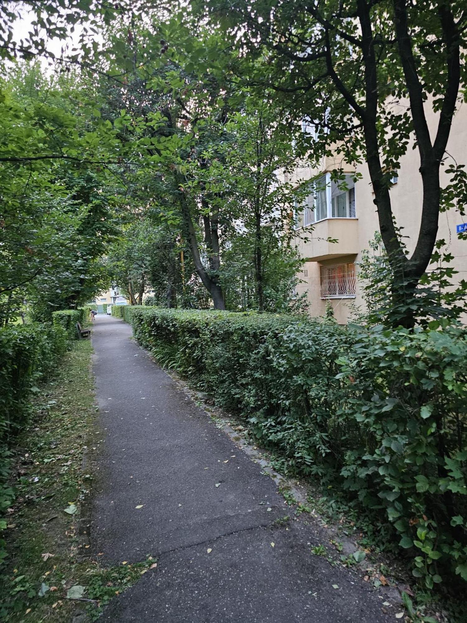 Saturn Studio Brașov Exterior foto